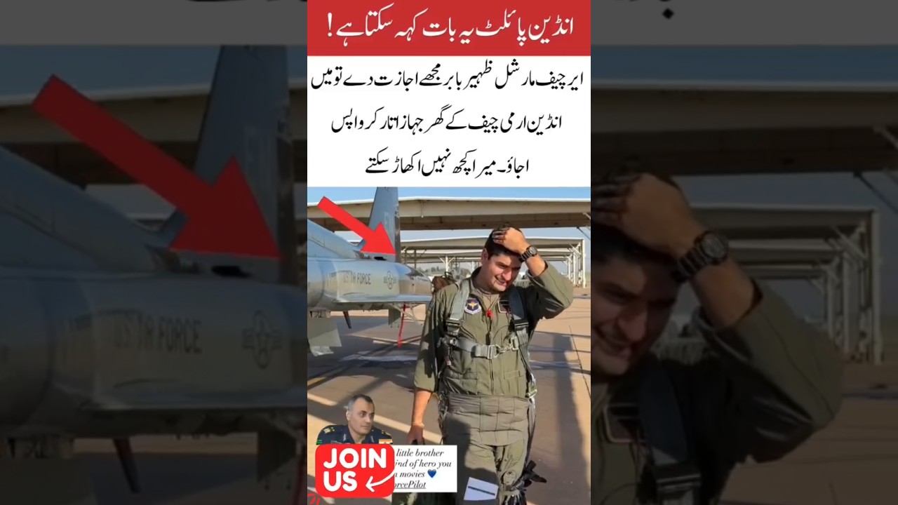 Pilot said to Indian Air force 