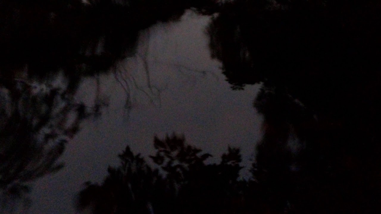 dusk cicadas. enoggerah reservoir