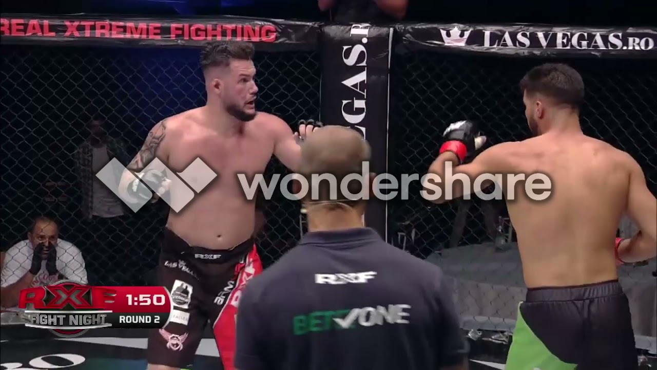 IANCU STERP vs RICARDO FILIP