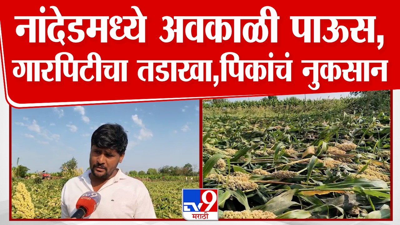 Nanded | Farm Loss | नांदेडमध्ये अवकाळी पाऊस,गारपिटीचा तडाखा,पिकांचं नुकसान