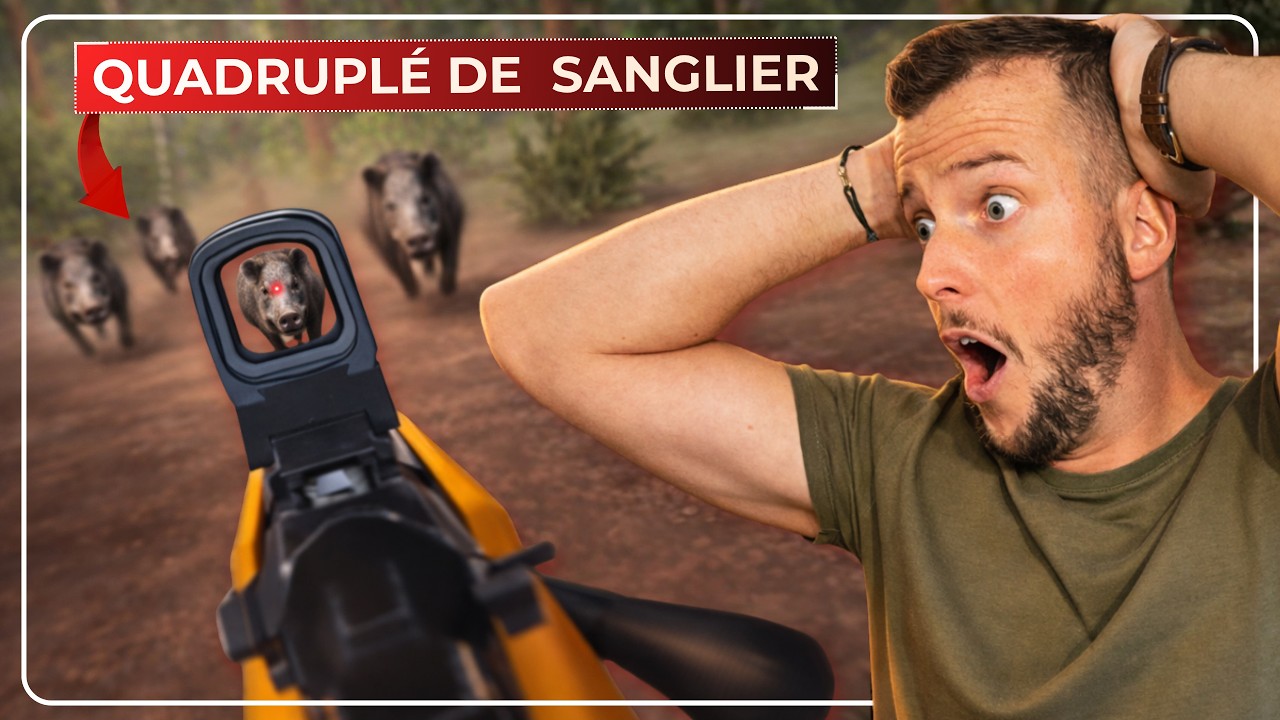 CHASSE AUX SANGLIERS avec le GAIM (simulateur de chasse)