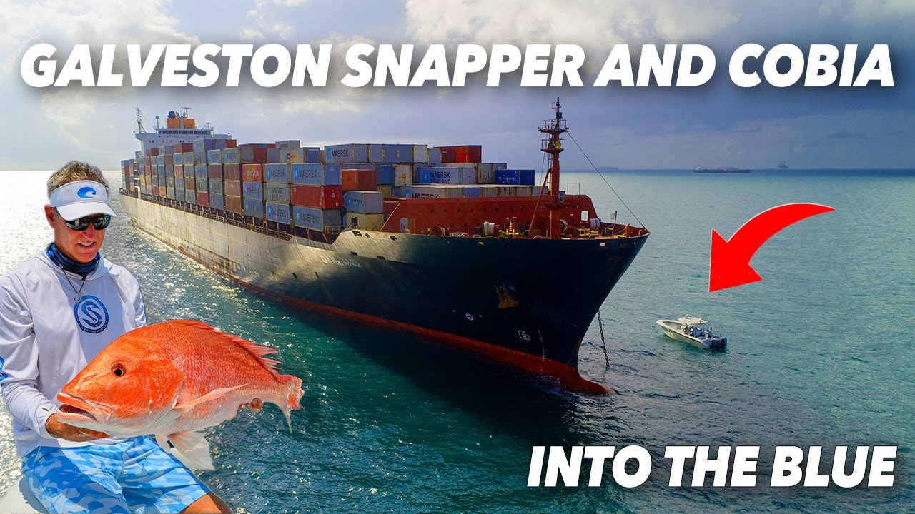 Unleashing Galveston's Secrets: Epic Gulf Coast Adventure | Into the Blue