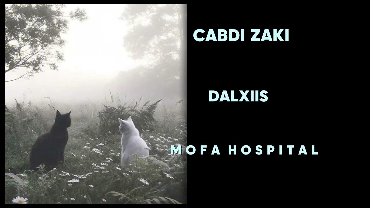 Cabdi zaki - dalxiis