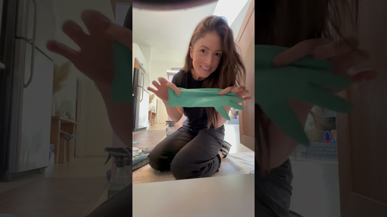 How To ORGANIZE Under The Sink For EXACTLY $10! 