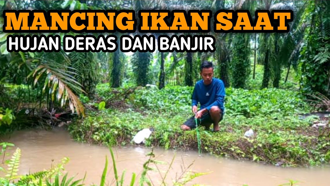 Mancing Ikan Saat Hujan Dan Banjir! Ini Hasilnya