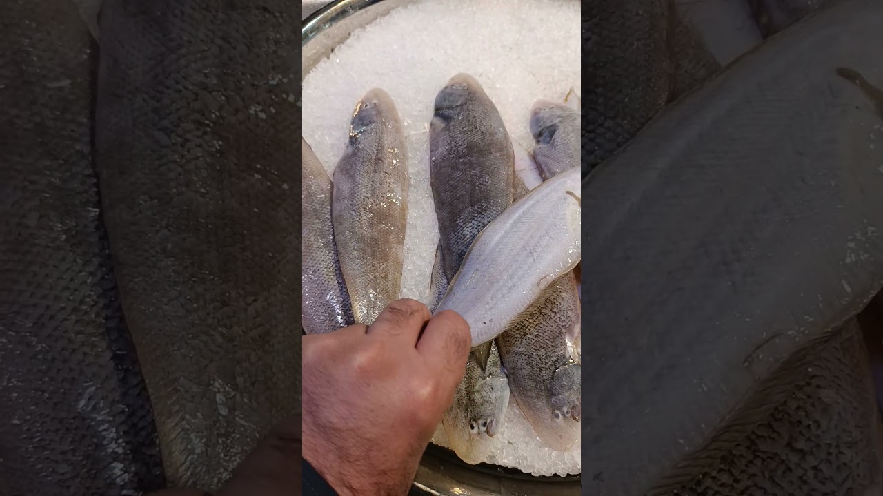😱Flat Fish 🐟 #flatfish #amazingfish #seafood #fishlover 🐟