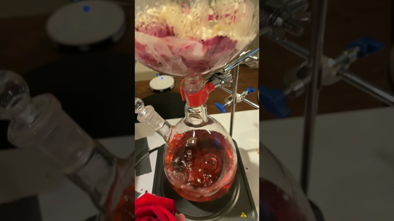 Rose Oil and Water 🌹🌹