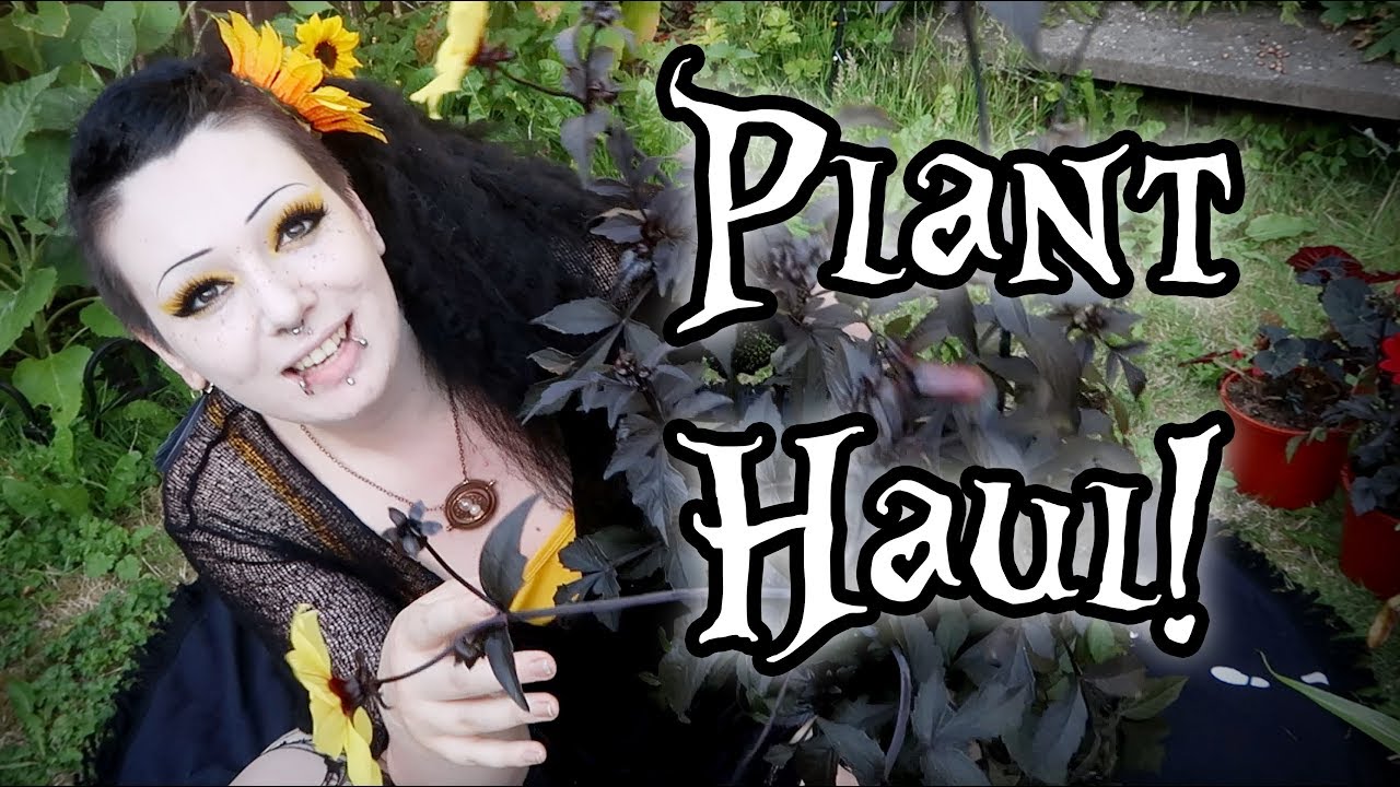 PLANT HAUL 🖤🌱 Gothic Gardening! | Toxic Tears