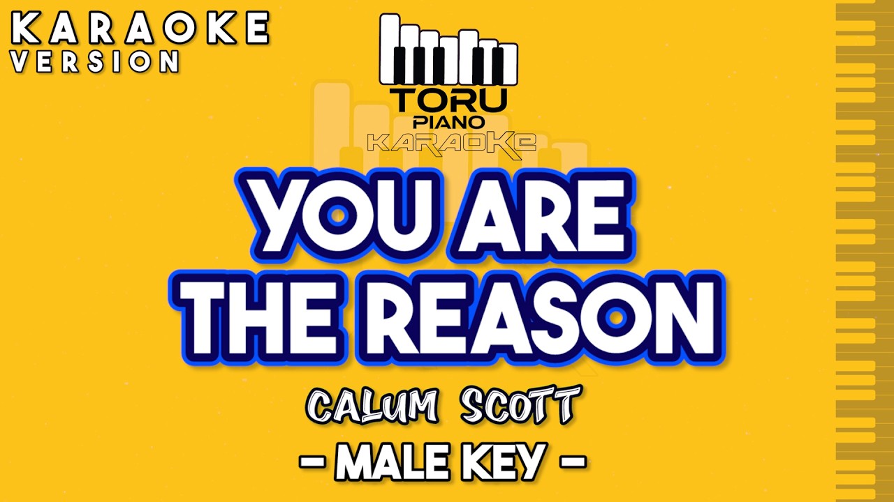 YOU ARE THE REASON CALUM SCOTT KARAOKE PIANO MALE KEY
