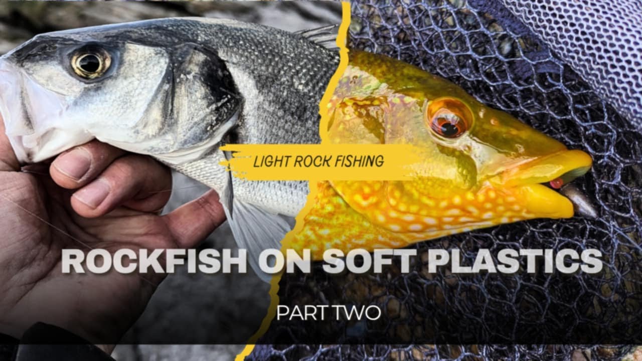 Light Rock Fishing (& some HRF) - Rockfish (and Bass) On Soft Plastics - Part Two