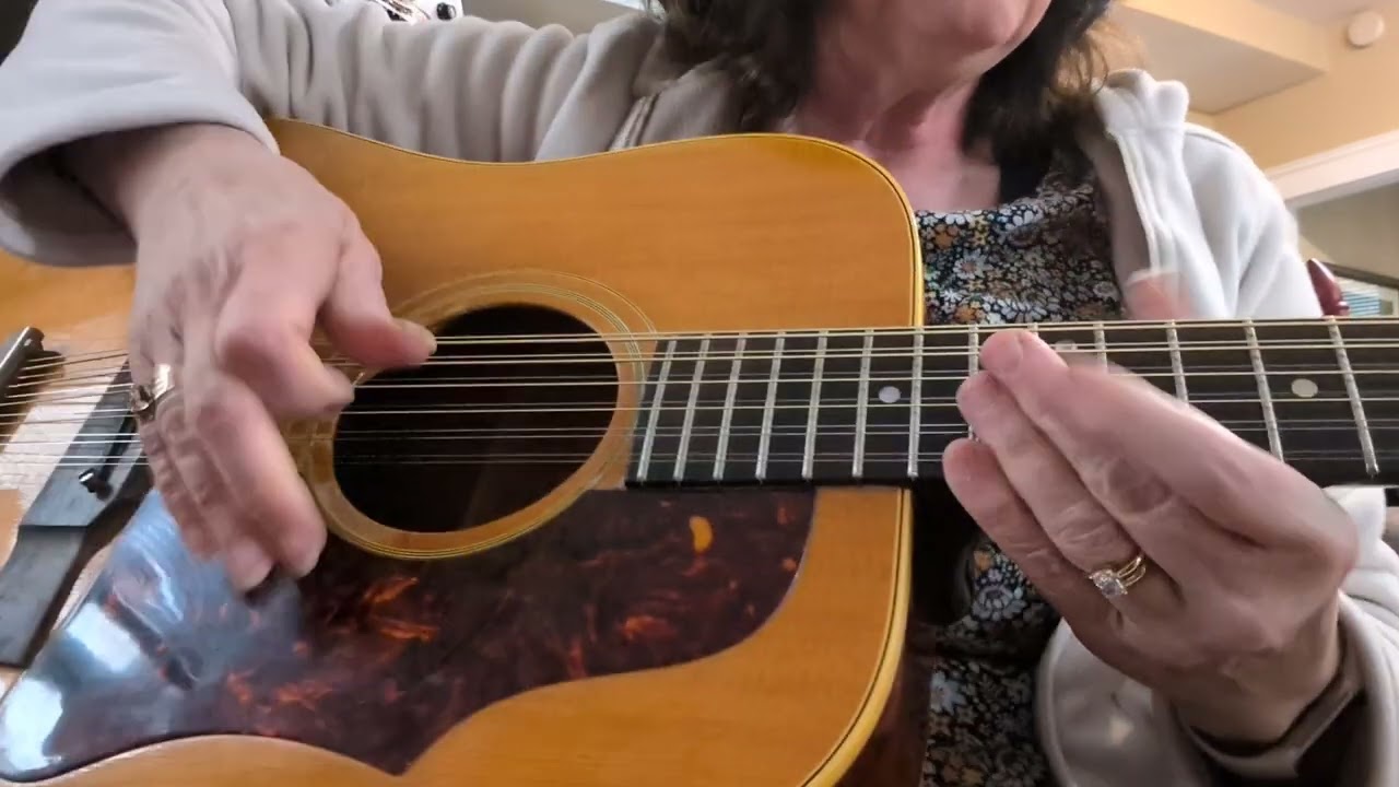 Gibson B-45-12 1965-67. 