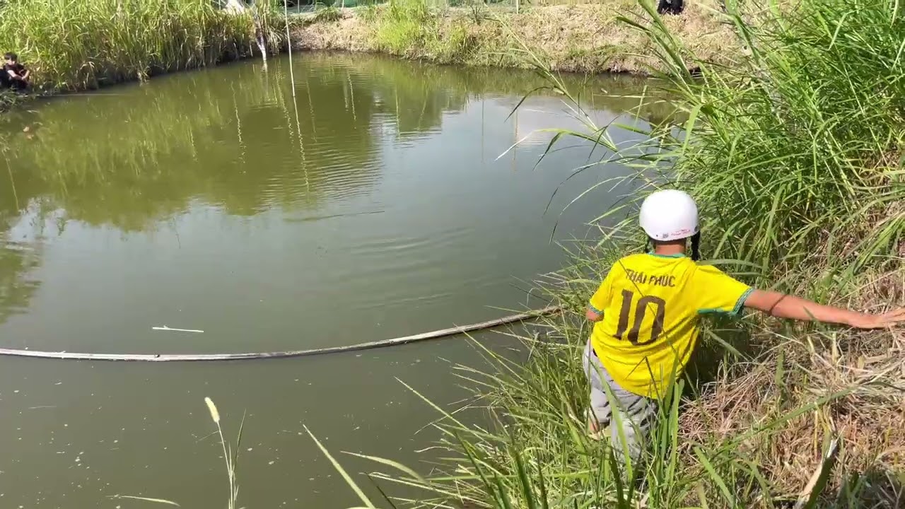 teach grass carp fishing .dạy câu cá trắm cỏ .qhia nuv ntses zaub.