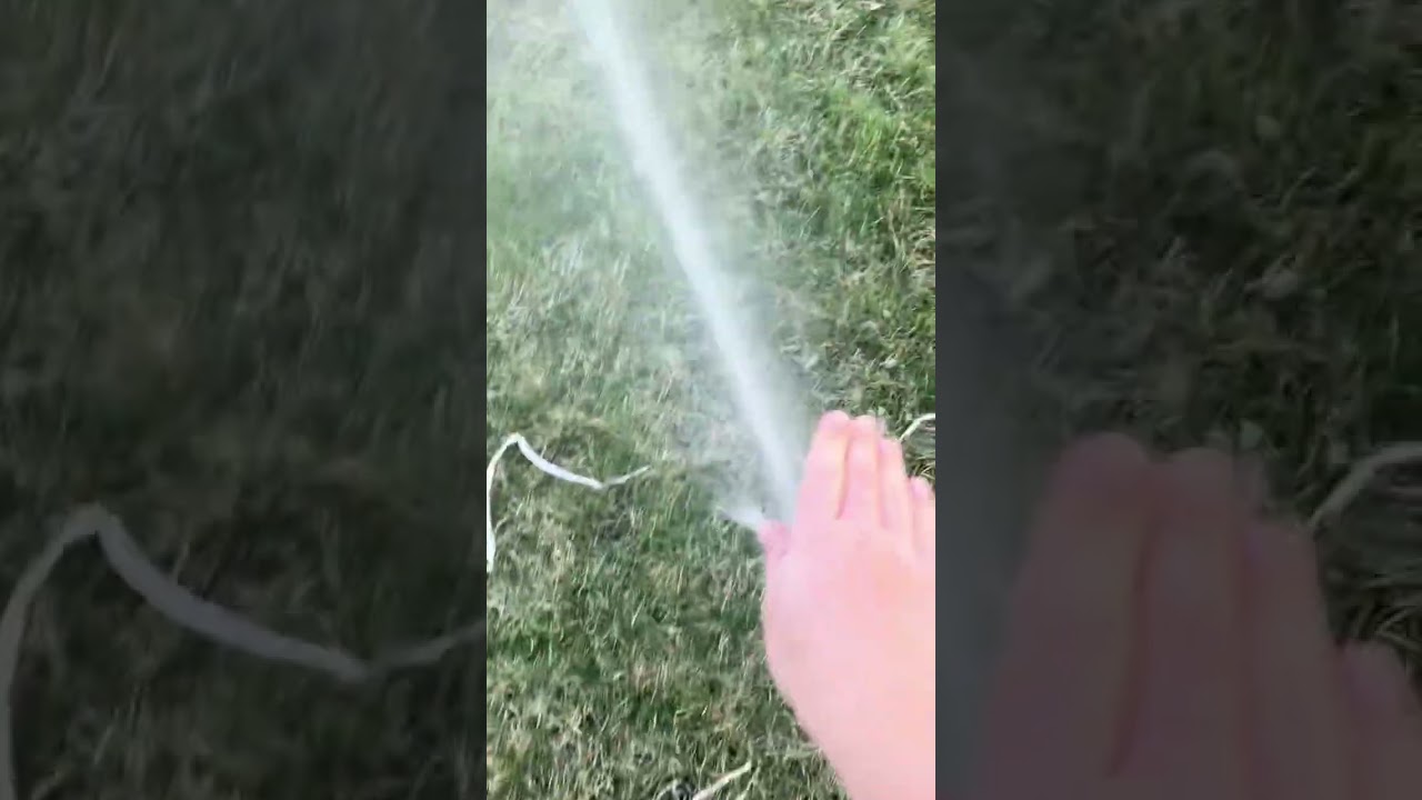 Annual Sprinkler Startup (2024)