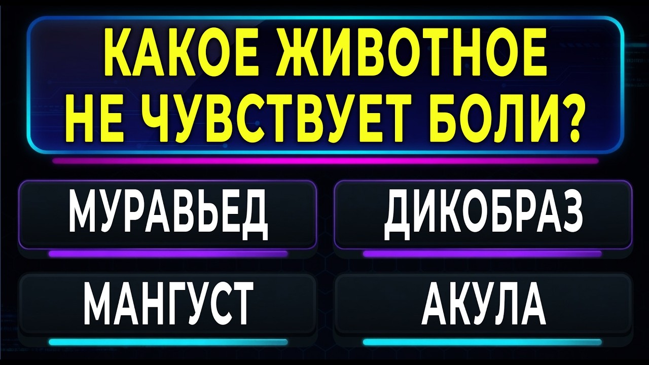 У вас невероятно СИЛЬНЫЙ УМ, если осилите 8 из 15. Увлекательный Тест на эрудицию и знания