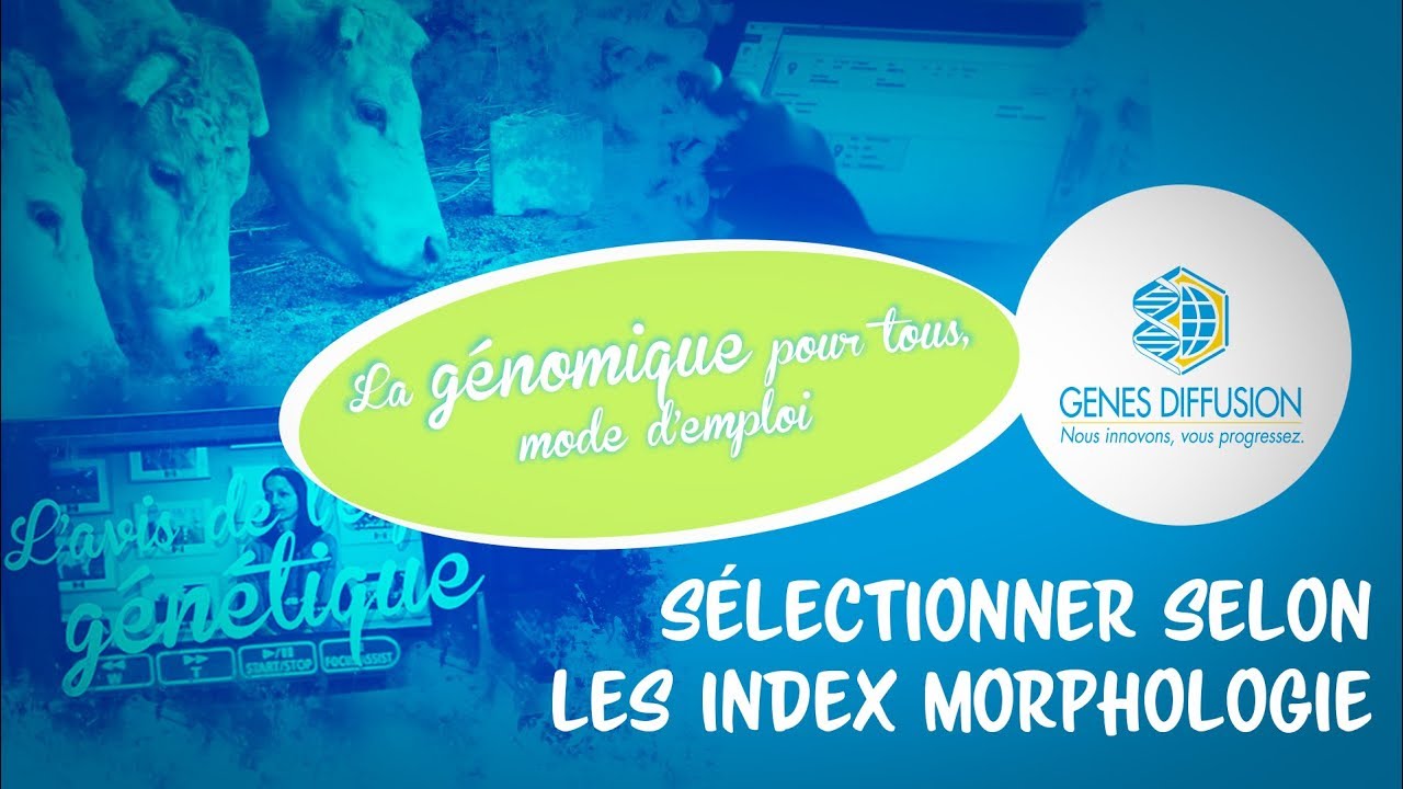 La génomique pour tous - Sélectionner selon les index Morphologie