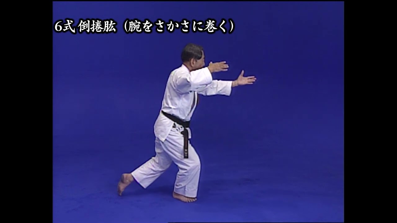 楊名時太極拳２４式（ブルーバック）