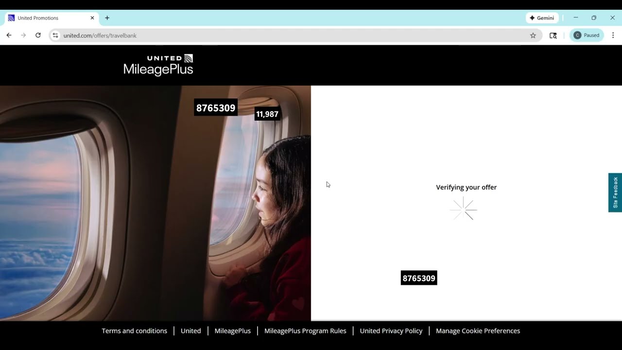 Amex to United TravelBank trick