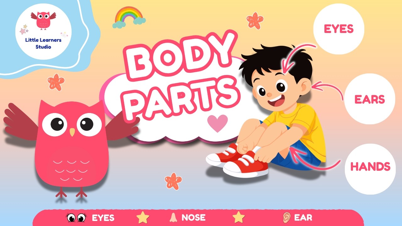 Learn Body Parts for Toddlers | Fun Educational Video for Kids