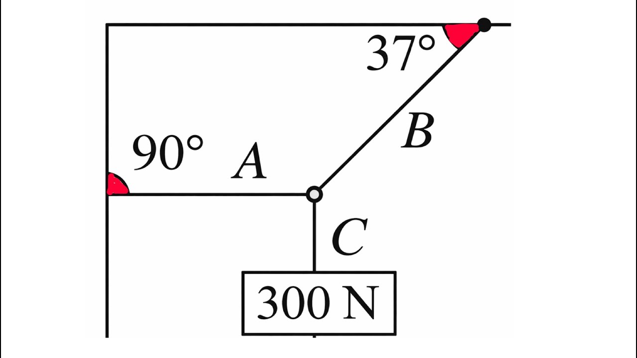 6 February 2026
