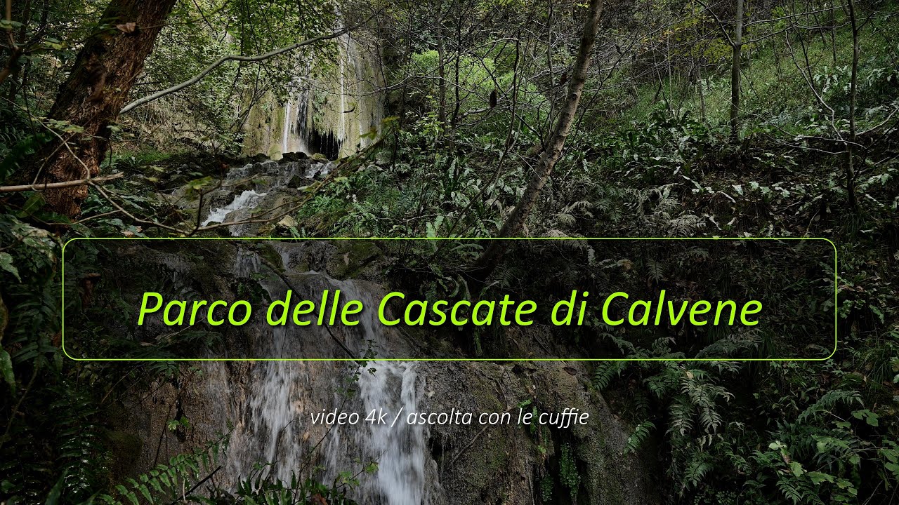 Bosco delle  Cascate di Calvene Parco Naturale Franco Totaro