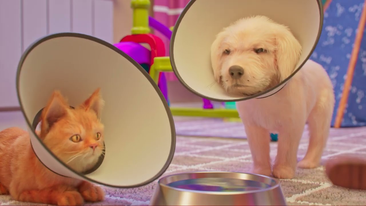 PetQuip Final