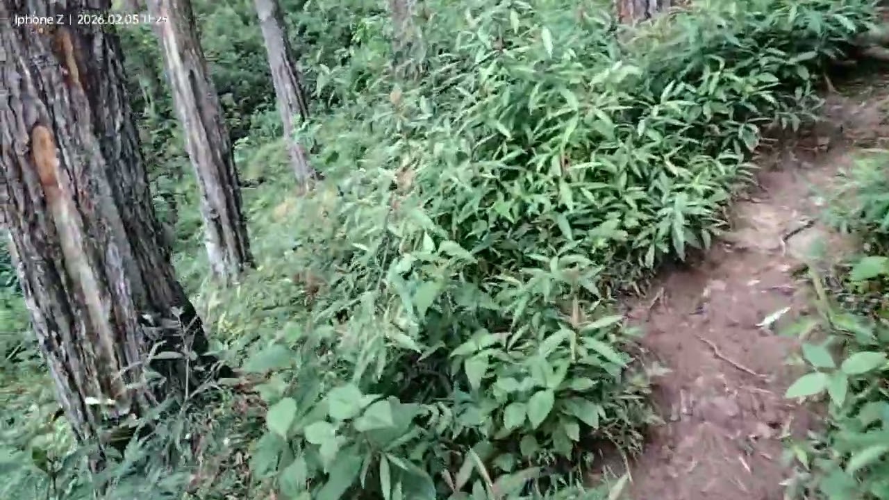 Perjalanan ke Puncak Pringgitan Ponorogo 