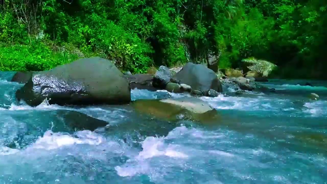 Gentle Stream in the Woods – Nature River Sounds for Relaxation