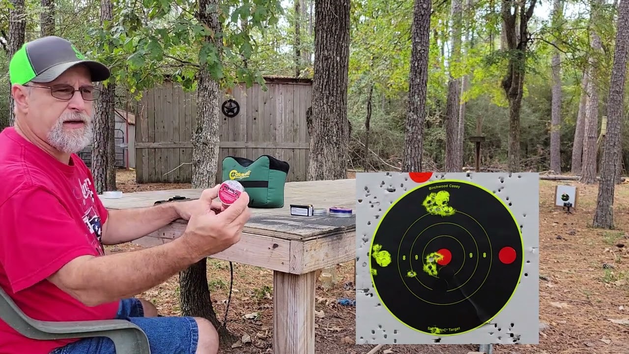 Beeman P17 Pellet Test