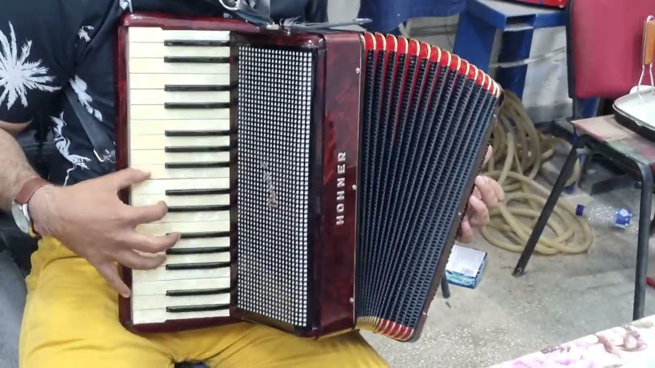 Proba Hohner Verdi 2 * Nou * Bandonat