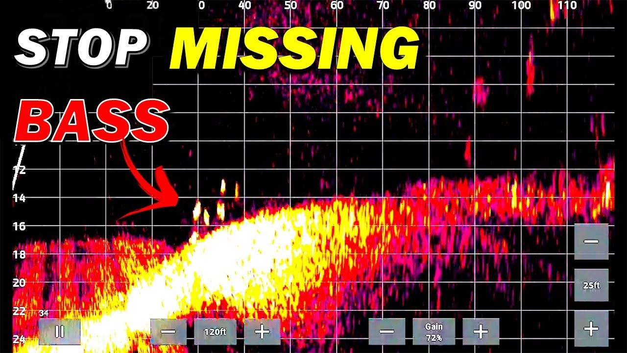 Я открыл СЕКРЕТ поиска окуня на дне с помощью Livescope