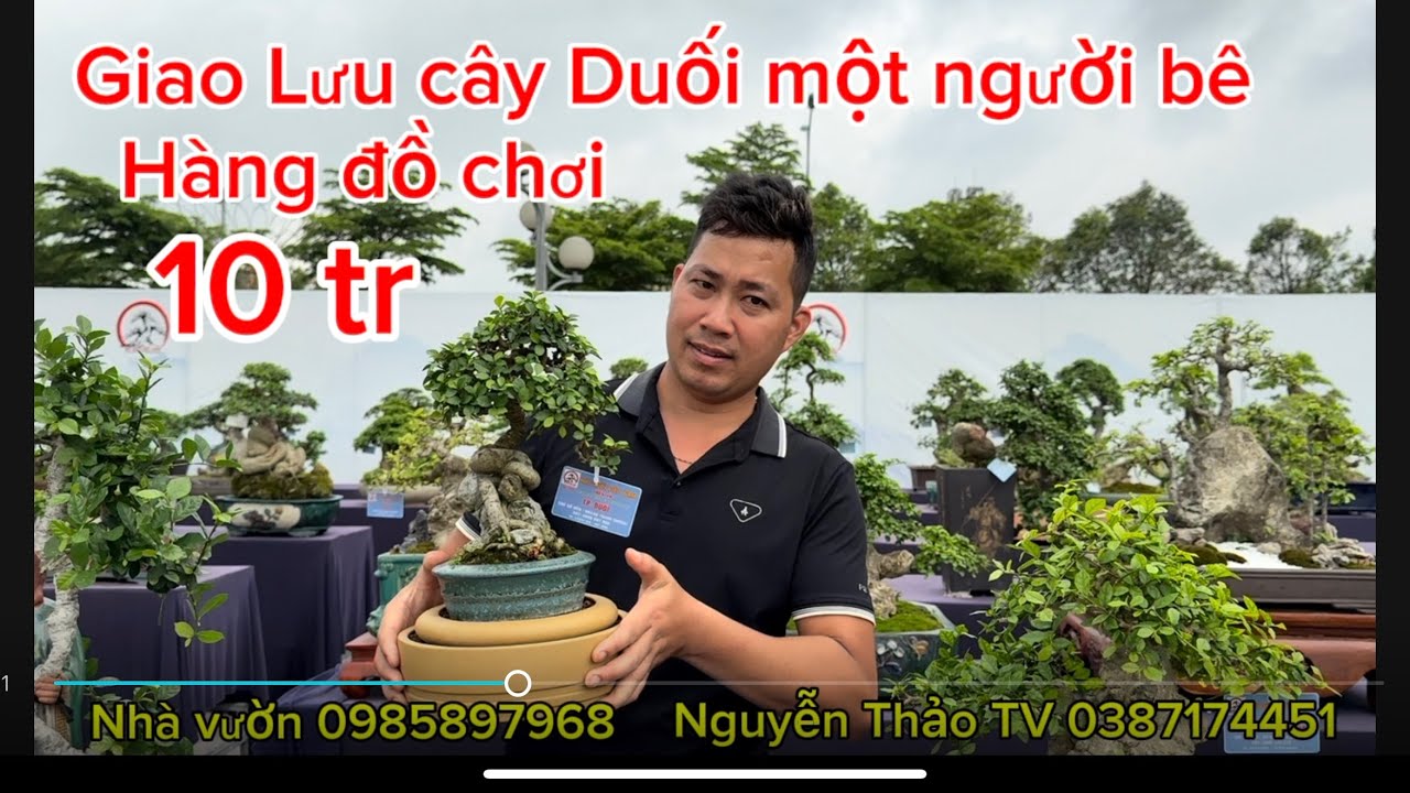 Nhà vườn Hoàng Trang giao Lưu cây Duối 10 tr và 4 tác phẩm tại triển lãm duối Bắc Ninh