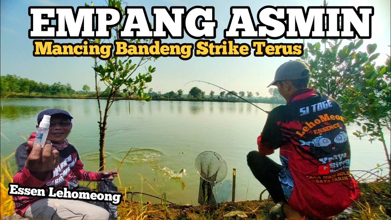 Strike Terus...!! Mabar Bandeng Empang Asmin 