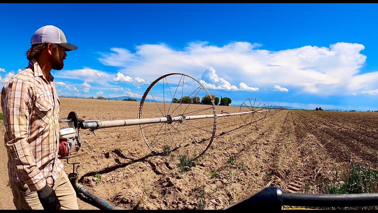 Wheel lines. Why?