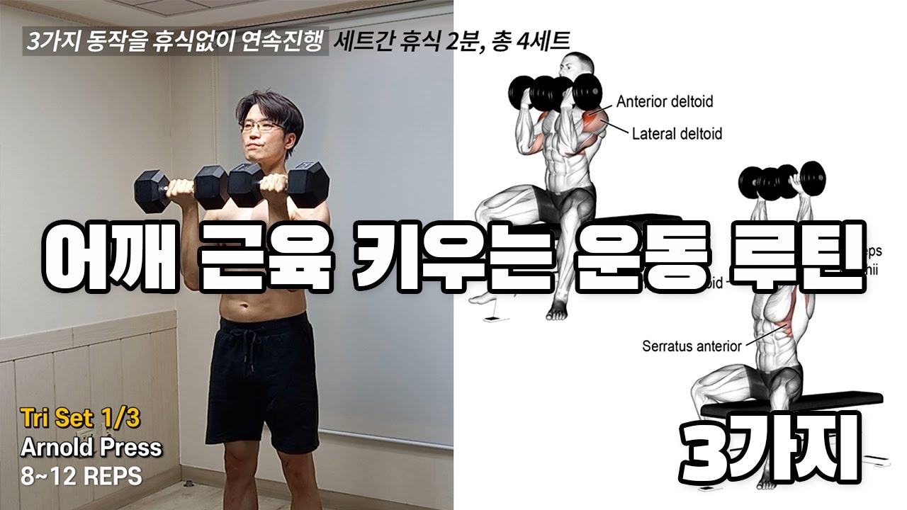 어깨 근육 빠르게 키우는 덤벨운동 루틴 3가지 (어깨운동) | Best 3 Shoulder Workout Routines At Home (Dumbbell Workout)