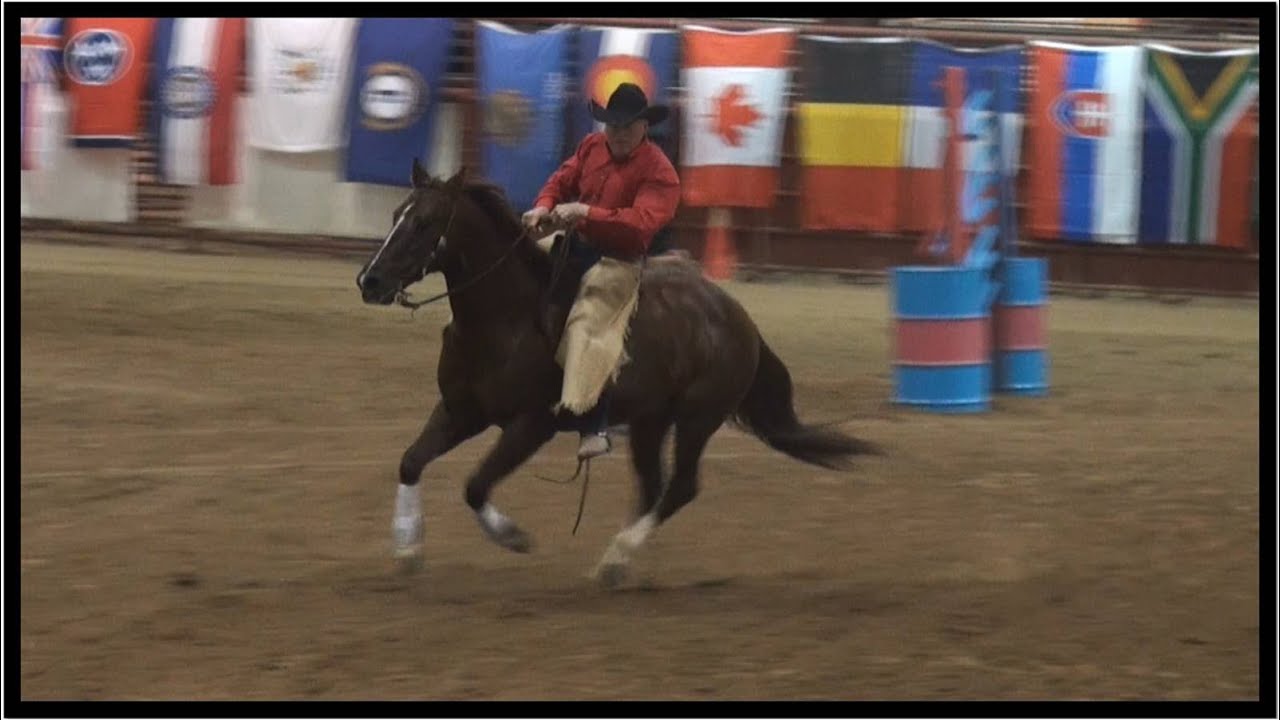 Cam Schryver Extreme Cowboy 2013 World Championship Winning Pro Run