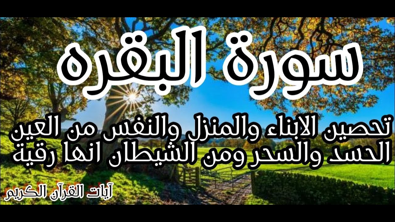 سورةالبقرة#💥طاردةالشياطين🥸وتبطل السحروالمس والعين👁والحسد وحفظ وتحصين البيت🏡من كل شربإذن الله/💥