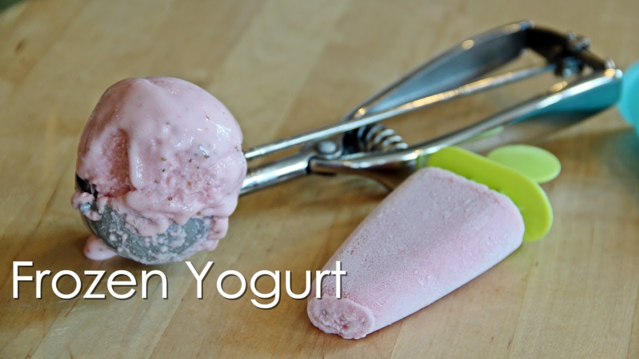 Frozen Yogurt - Recipe by ZaTaYa Yummy