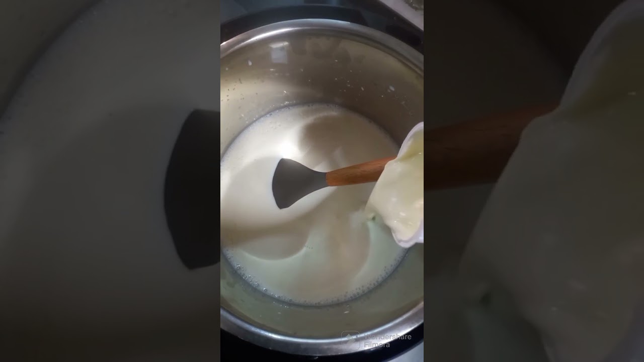 yoghurt making in nutricook pressure cooker
