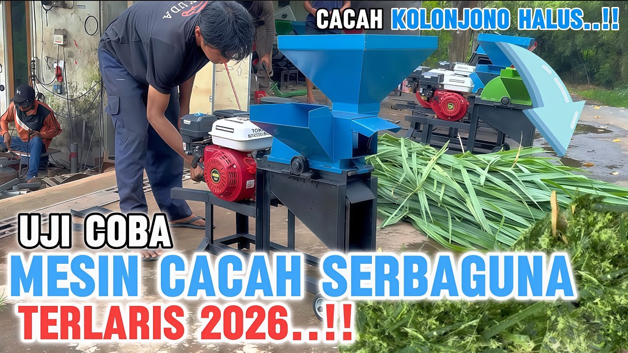 CACAH PAKAN TERNAK SEHALUS INI..??? Seperti Ini kekuatan mesin cacah serbaguna..!!
