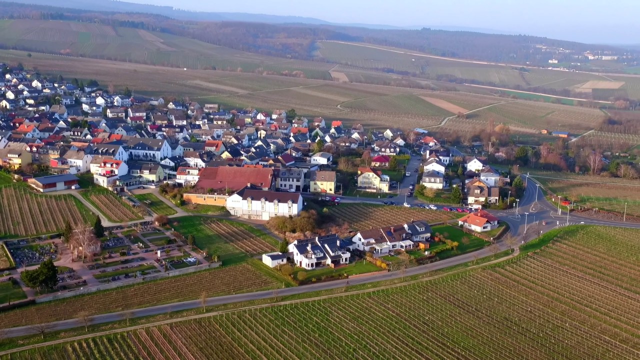 Rheingau von oben, Teil 1