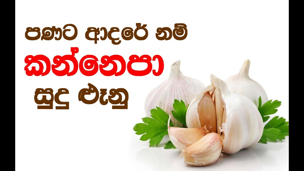 ඔබත් මේ වර්ග 6න් කෙනෙක් නම් සුදුළුෑනු කන්න එපා..!