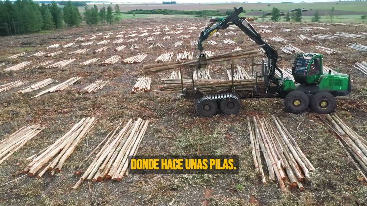 Cadena Forestal - Cosecha