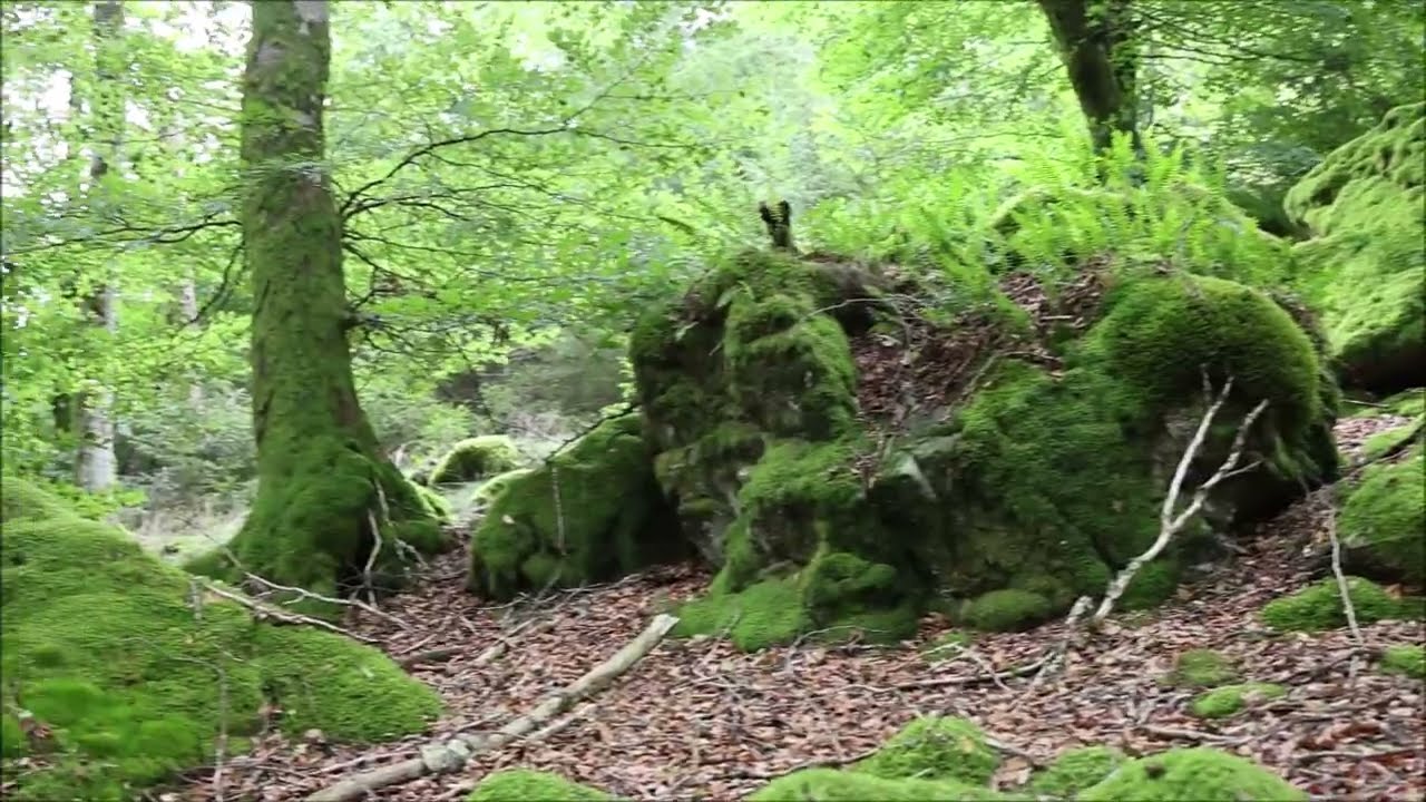 Morvan, chaos du grand Montarnu