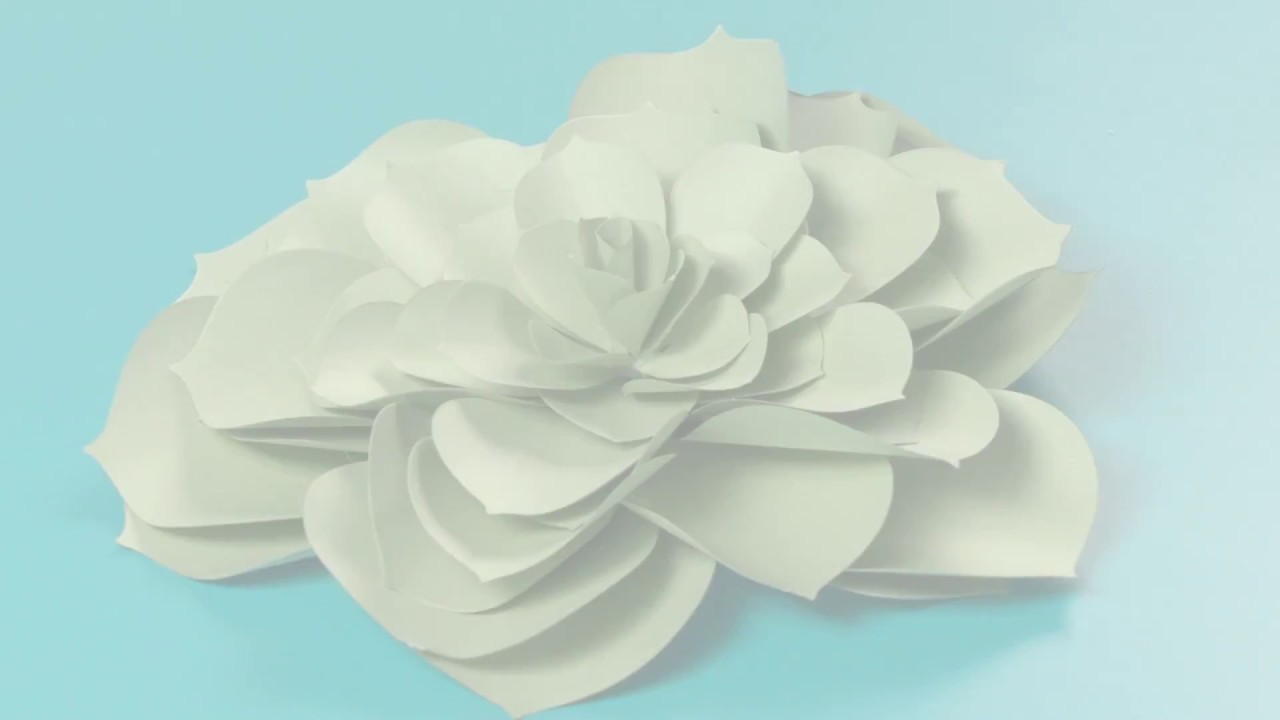 Sizzix Framelits Dies by David Tutera - Succulent