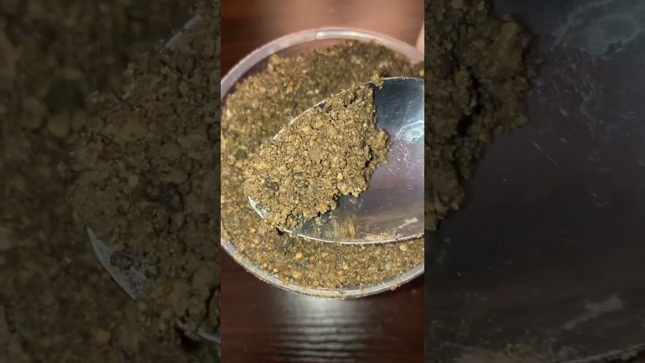 Chewing sand from a park