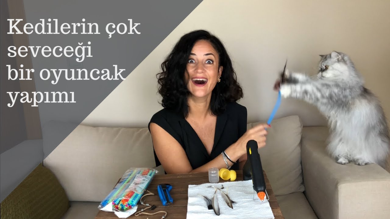 Evde kolayca kedilerin çok seveceği oyuncak yapımı, kendin yap, DIY