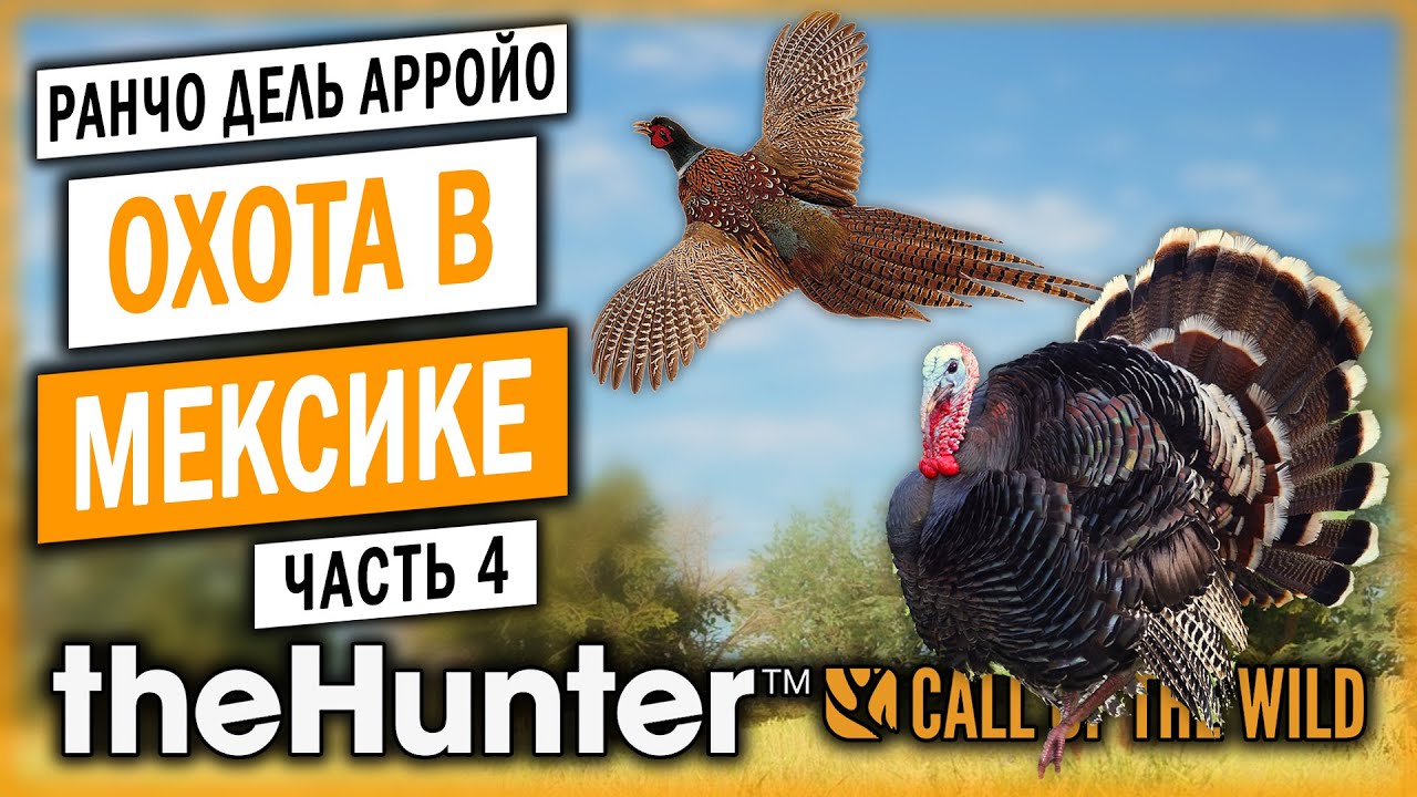 theHunter Call of the Wild #4 🦃 - ВАЖНО!!! НУЖНЫ ИДЕИ ДЛЯ ВИДЕО! - Охота на Фазанов и Индеек (2021)