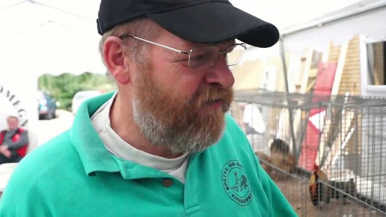Gode råd om Hobbyhøns/ På Opdagelse Djursland/ Efterår 2013