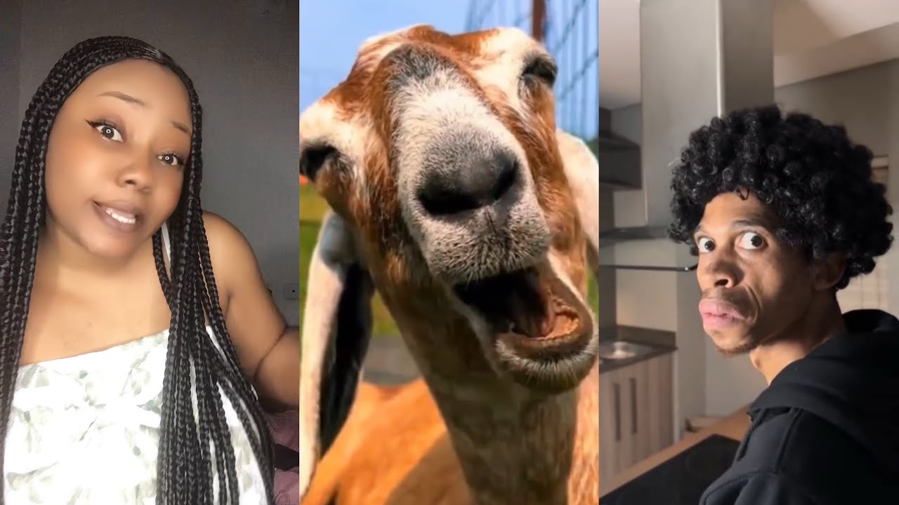 TRY NOT TO LAUGH || IMPOSSIBLE 😂🤣