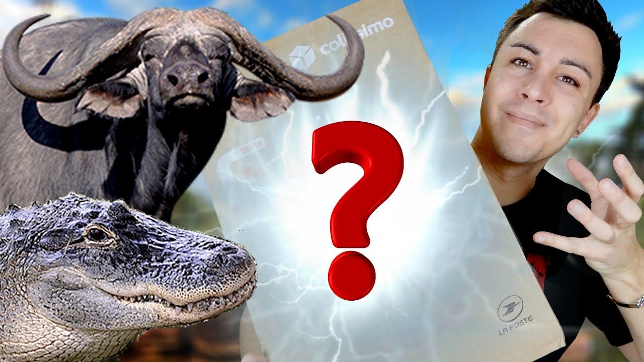 JE TESTE UNE ÉNORME RATION DE MADAGASCAR ! (Crocodile et zébu)